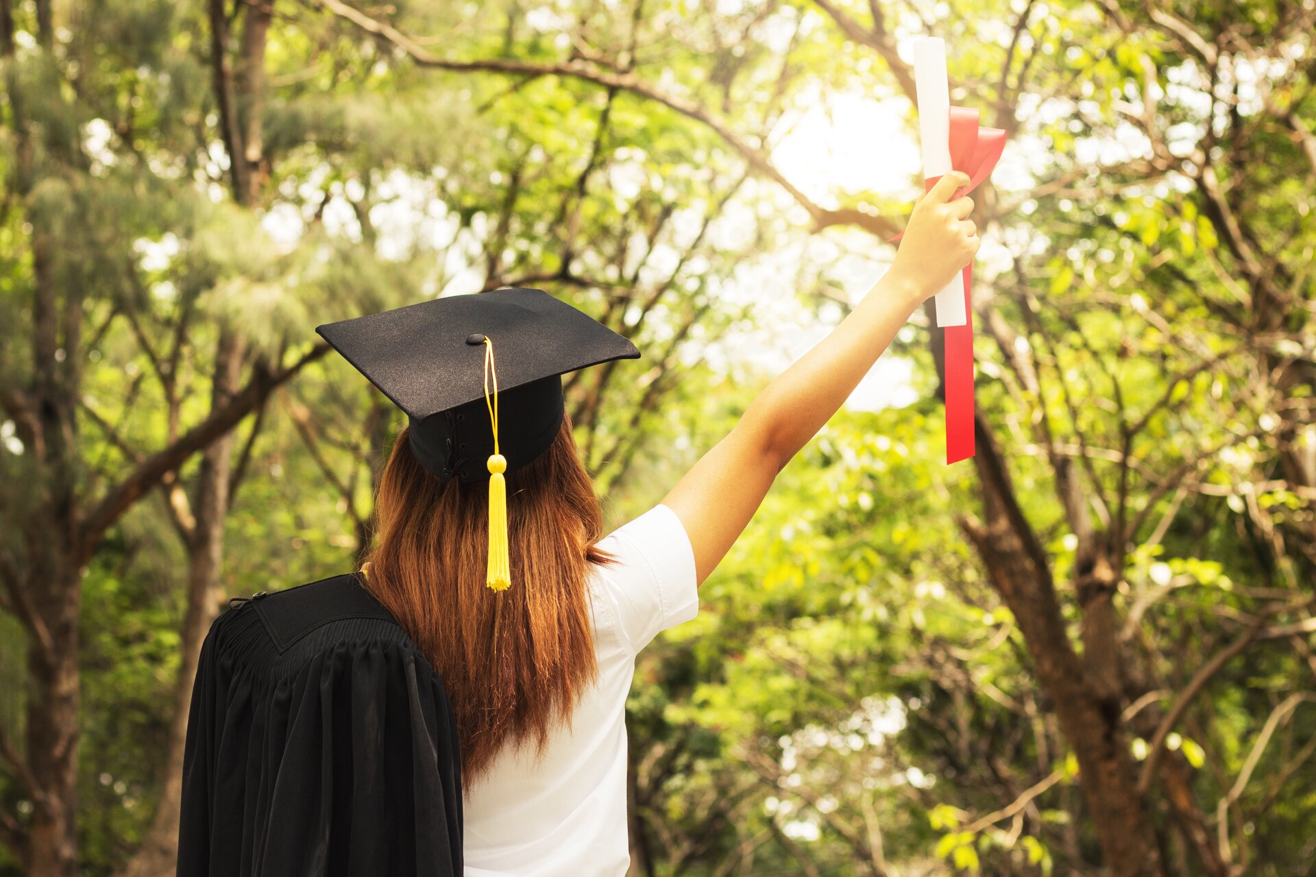 Laurea presa. E ora? Valorizza le tue competenze 