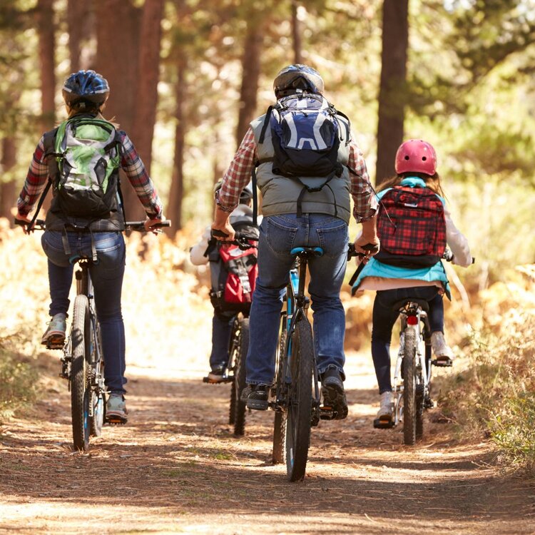Genitori e lavoro: in Trentino la conciliazione è realtà Genitori e lavoro: in Trentino la conciliazione è realtà