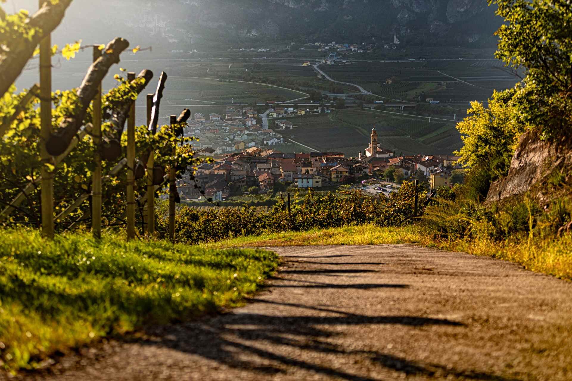 Valledelladige Lavis Pressano Masoalto Paolocipriani 43395