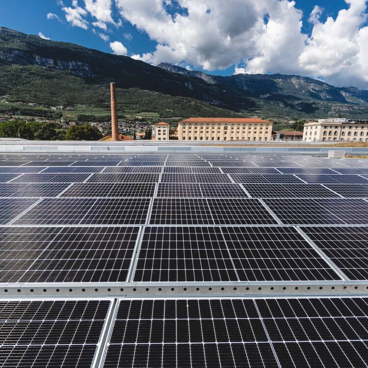 Green economy 